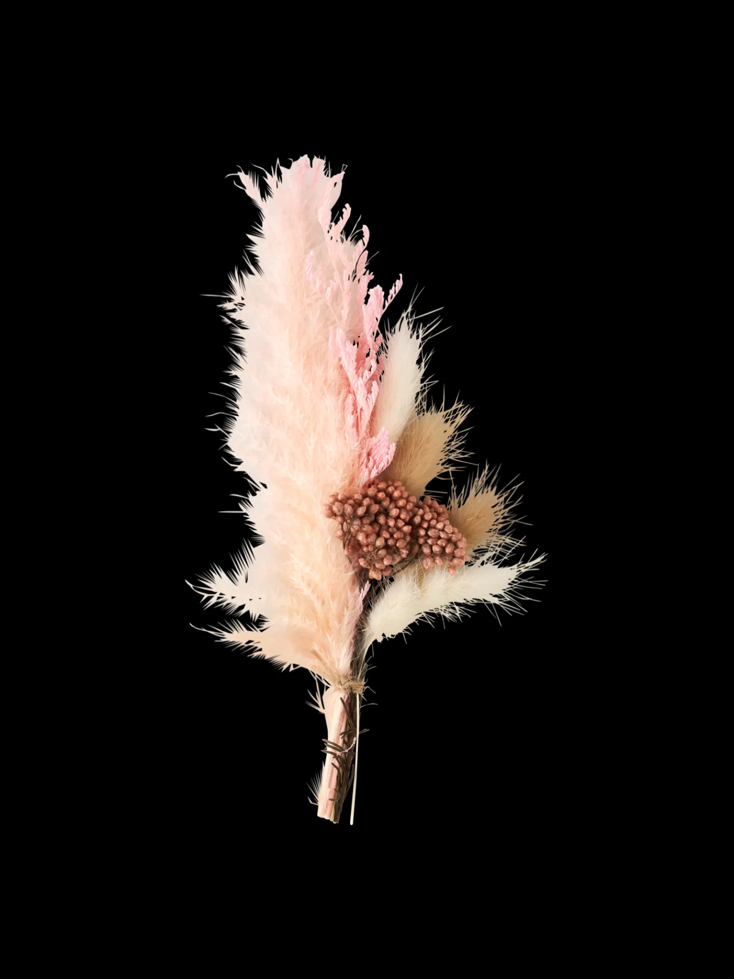 Trockenblumen Zum Basteln