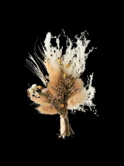 Trockenblumen Zum Basteln