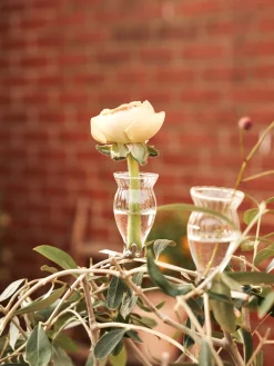 Vasen Mit Clip 3er-Pack