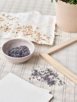 Zellstoff Für Papierherstellung